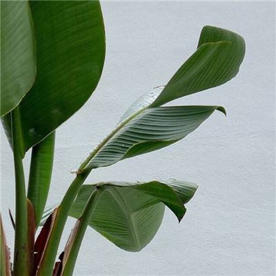 华体会体育app下载